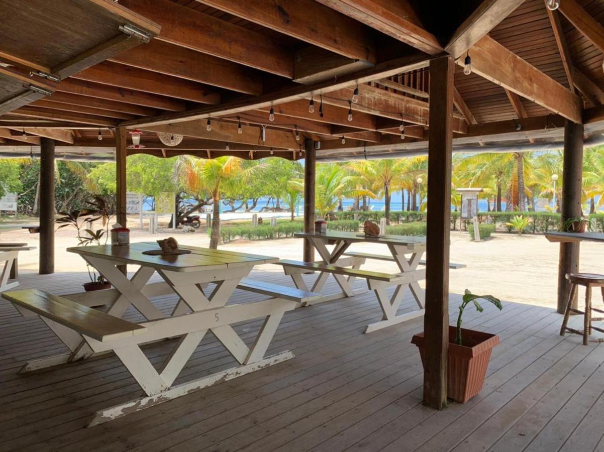 Sea Eye Hotel - Tropical Building Utila Exterior photo